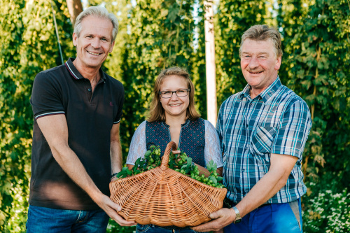 Zwettler Hopfenernte