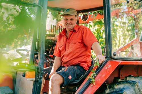 Zwettler Hopfenernte