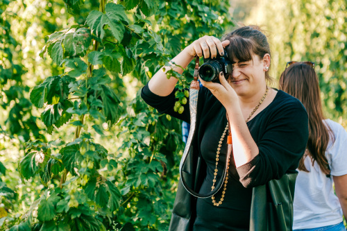 Zwettler Hopfenernte