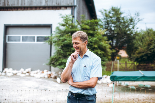 GÄNSEMARSCH IM WALDVIERTEL