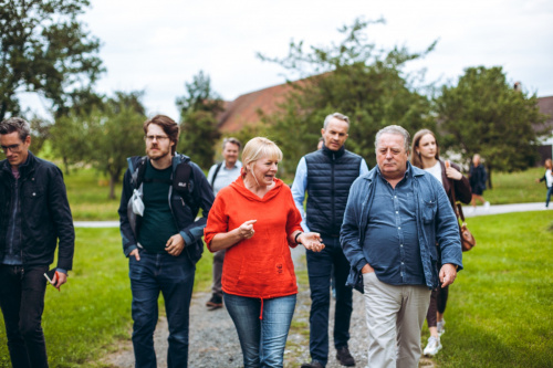GÄNSEMARSCH IM WALDVIERTEL