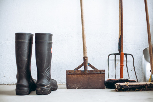GÄNSEMARSCH IM WALDVIERTEL