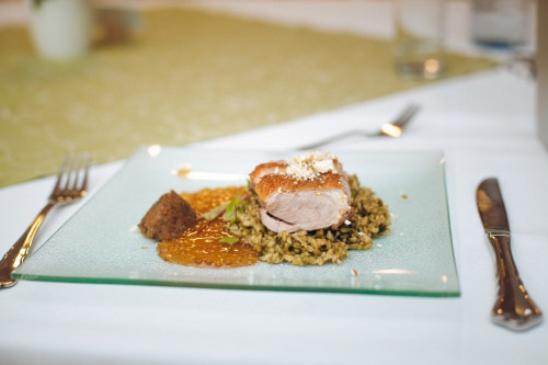 GÄNSEMARSCH IM WALDVIERTEL