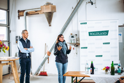 GÄNSEMARSCH IM WALDVIERTEL