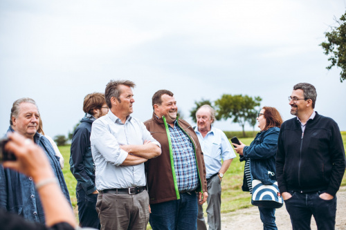 GÄNSEMARSCH IM WALDVIERTEL
