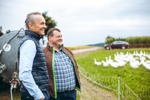 GÄNSEMARSCH IM WALDVIERTEL