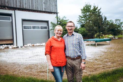 GÄNSEMARSCH IM WALDVIERTEL