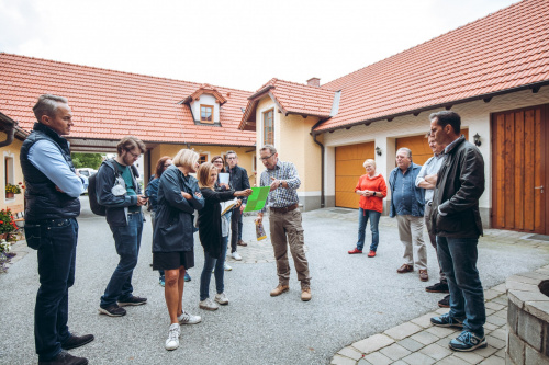 GÄNSEMARSCH IM WALDVIERTEL